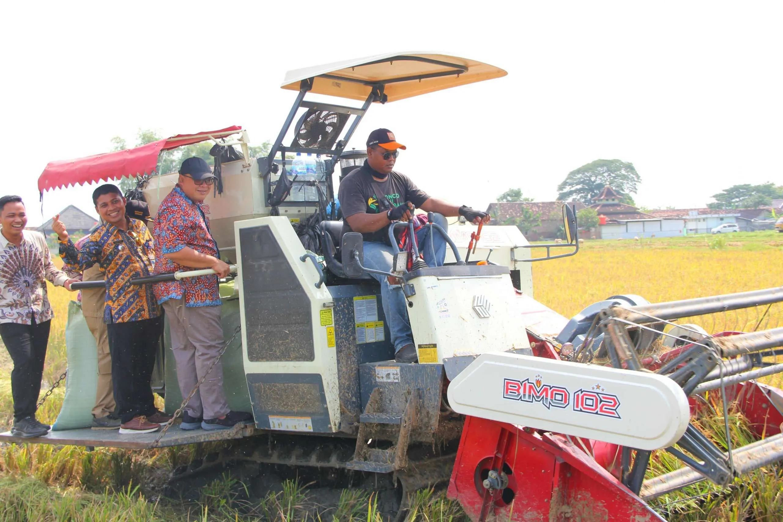 Panen Raya di Jawa Tengah, Harga Gabah Tertahan